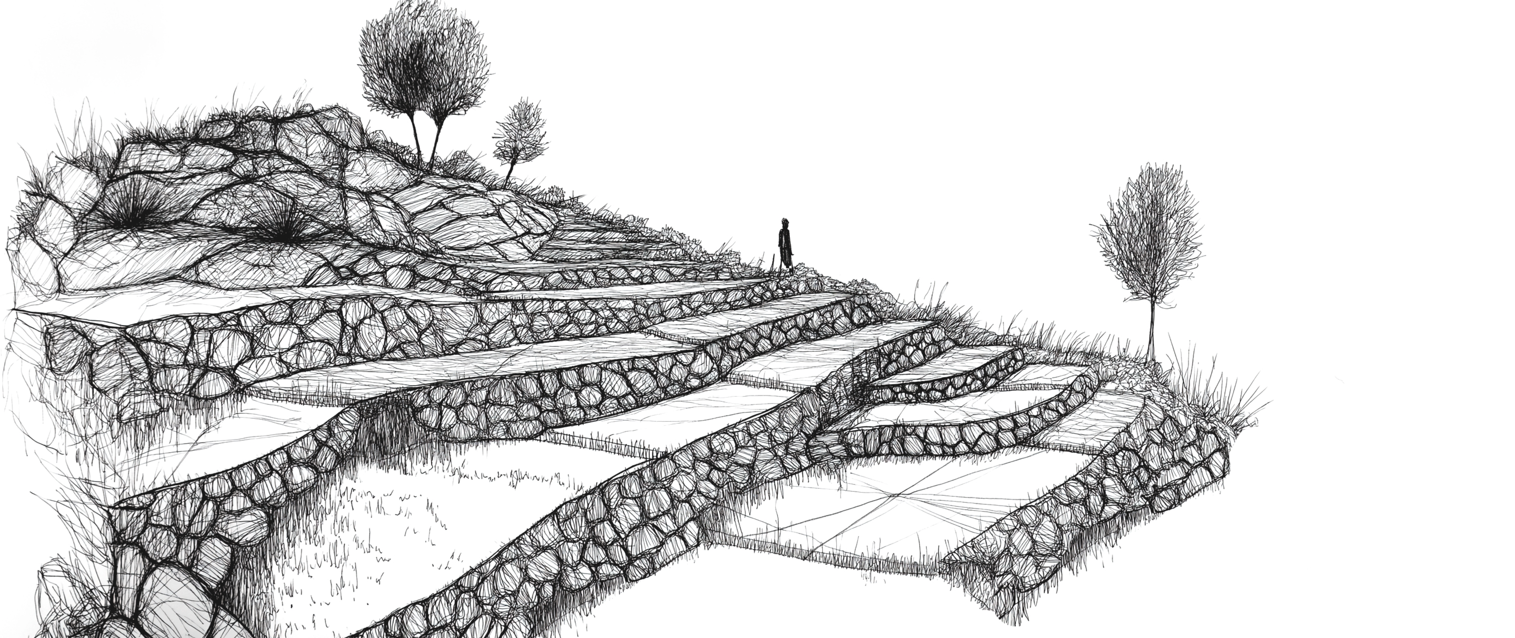 Sketch of the Ribeira Sacra terraces