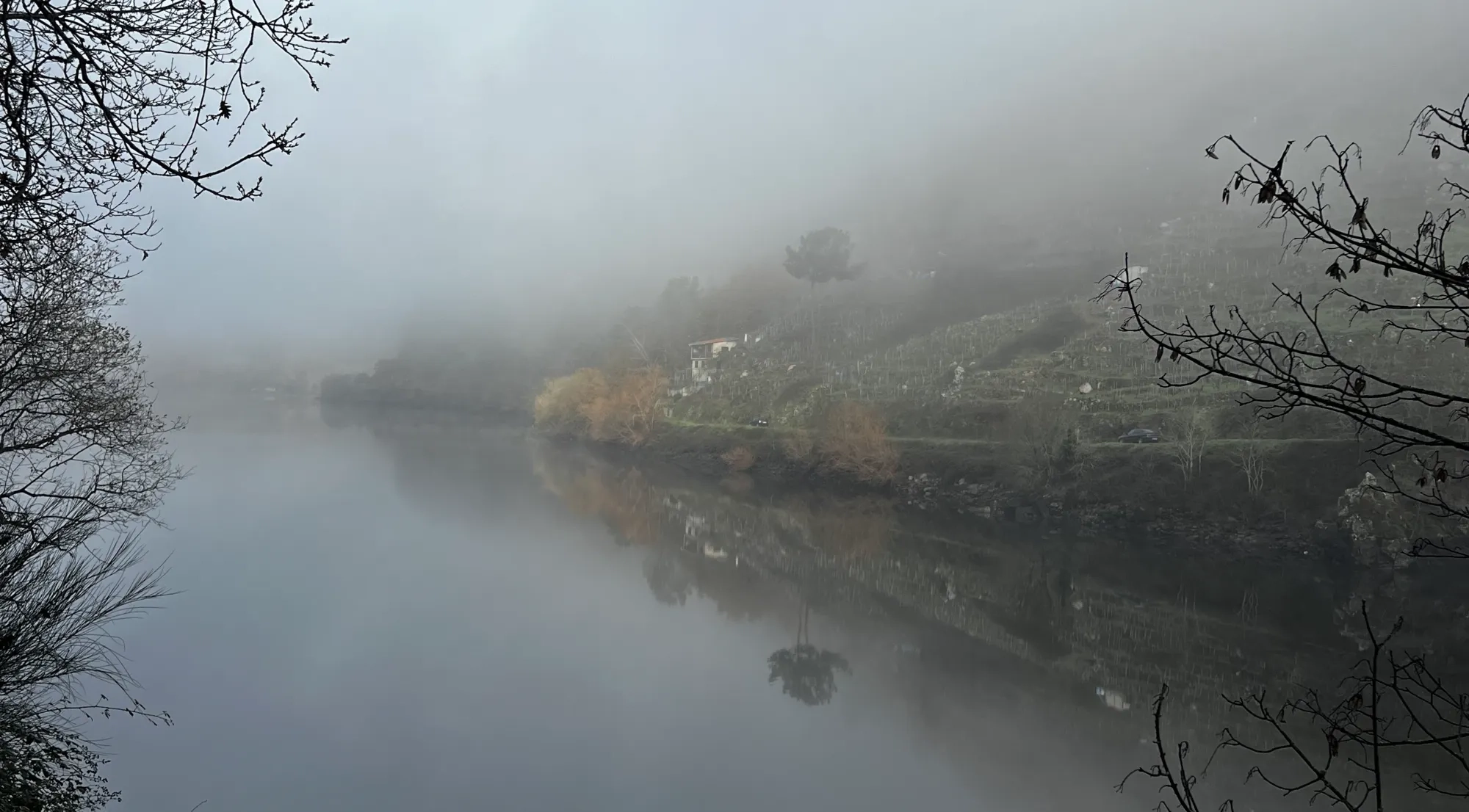 paisajismo ribeira sacra.png